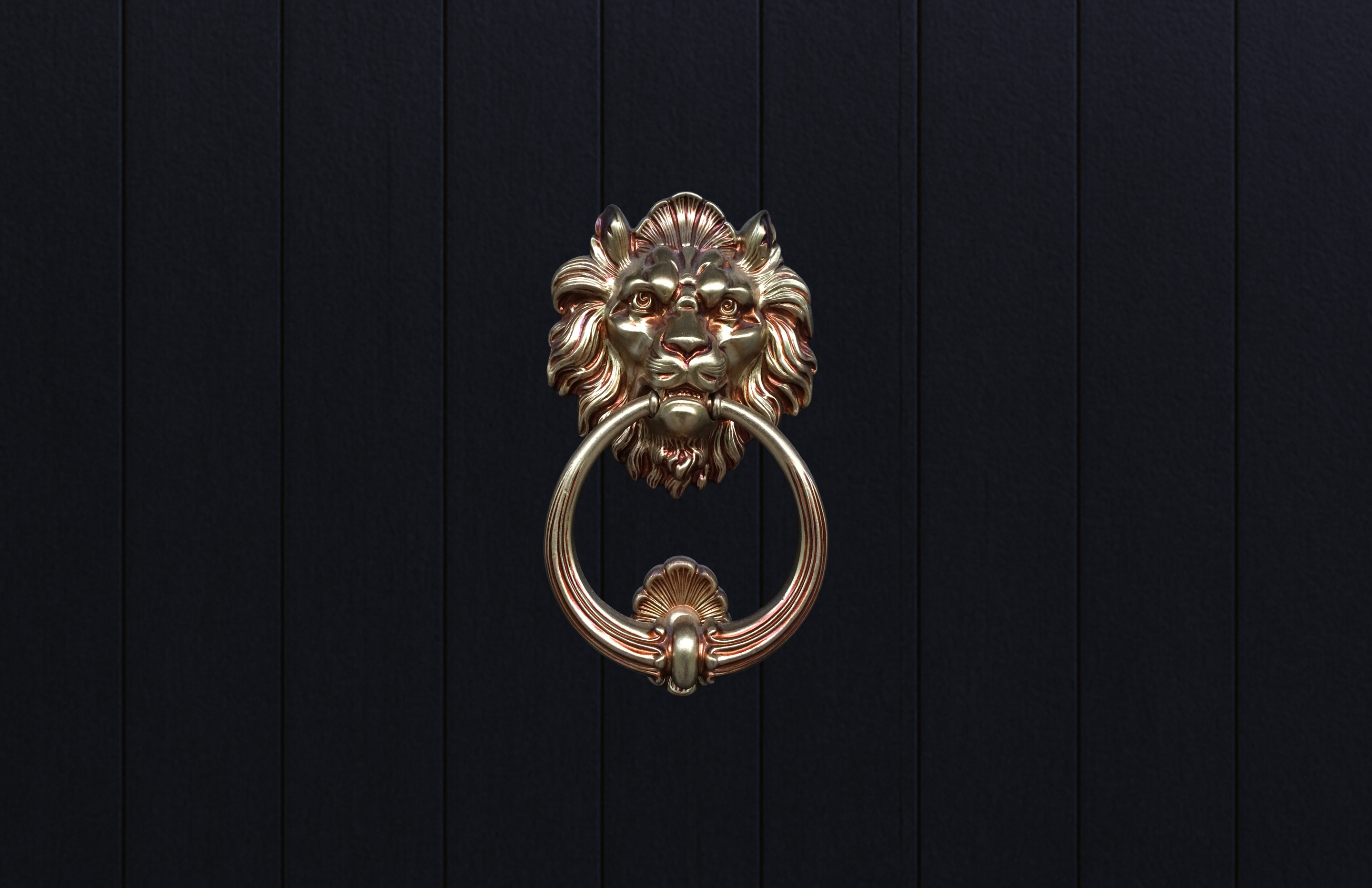 Nobody U Know – Löwen-Türklopfer auf dunkler Holztür